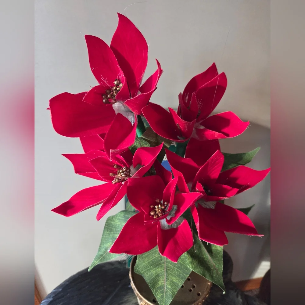Vintage Christmas Fiber Optic Color Changing Red Poinsettia 18